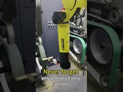 2つの粉砕機および4つの砂ベルトが付いている4000mmのロボティック粉砕機