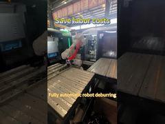完全に自動的なロボットデブーリング